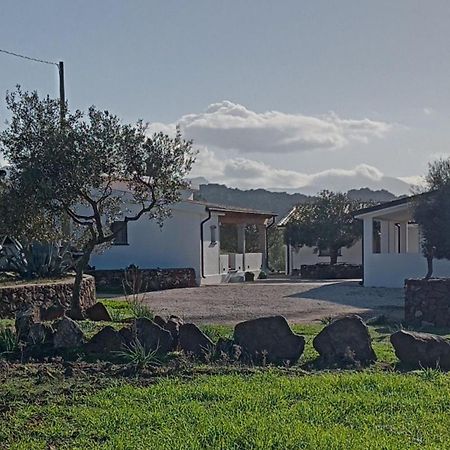Agriturismo Sa Murta 多尔加利 外观 照片
