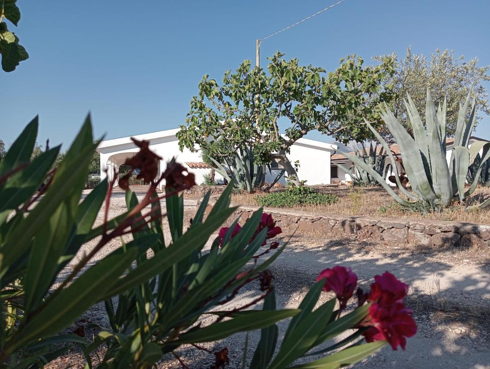 Agriturismo Sa Murta 多尔加利 外观 照片