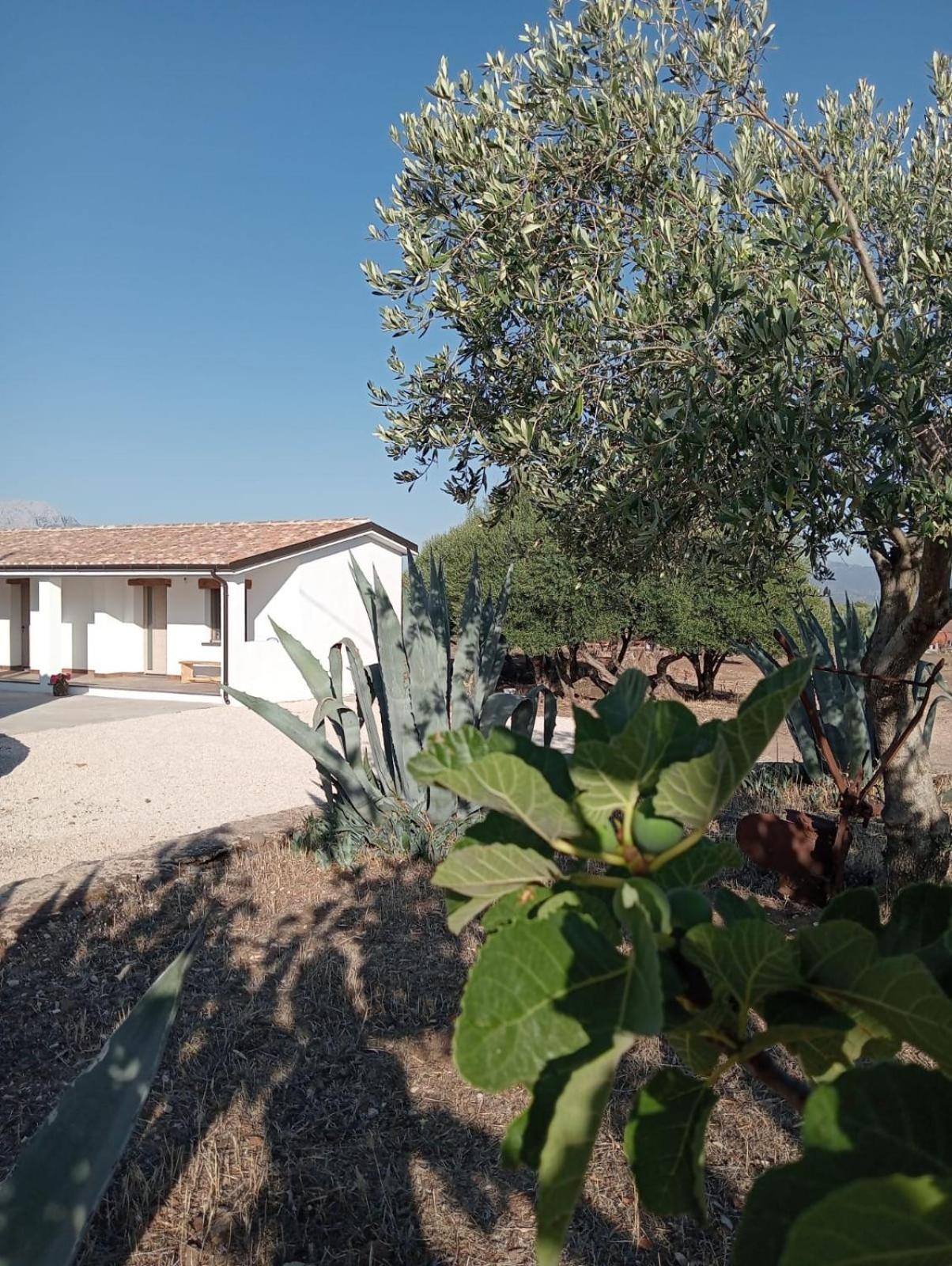 Agriturismo Sa Murta 多尔加利 外观 照片