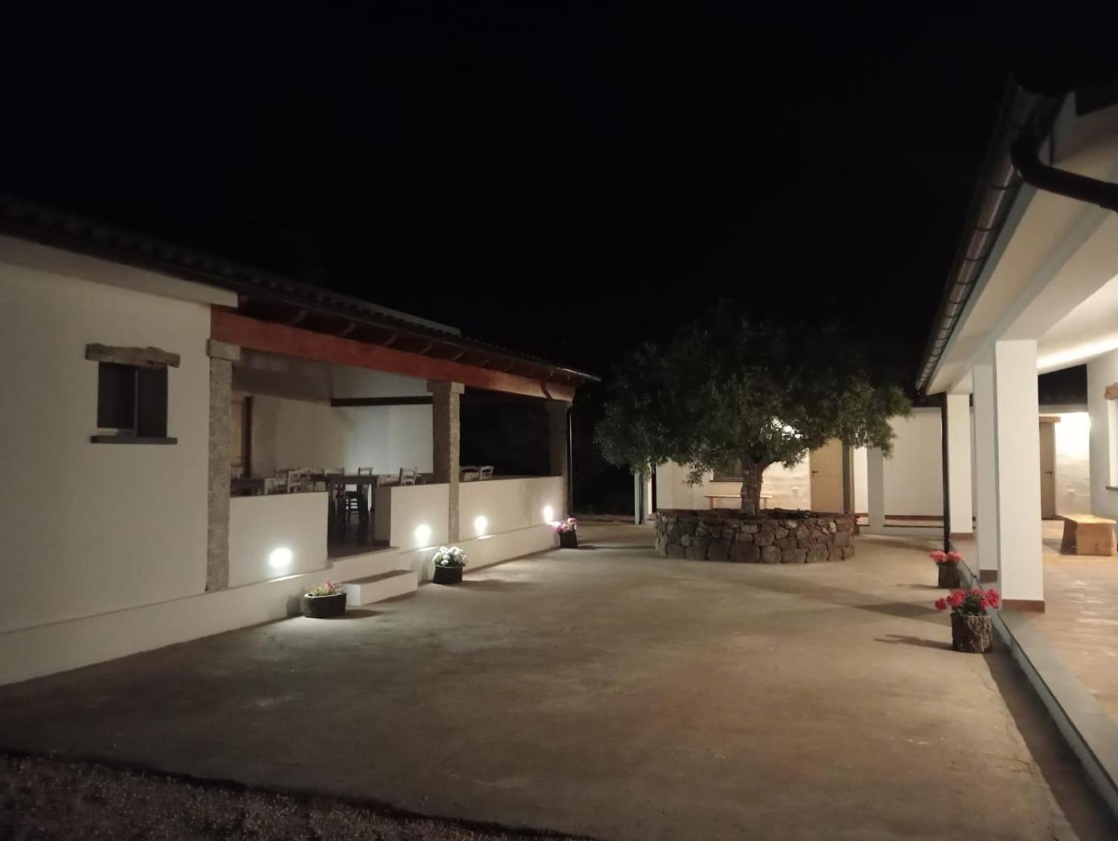 Agriturismo Sa Murta 多尔加利 外观 照片