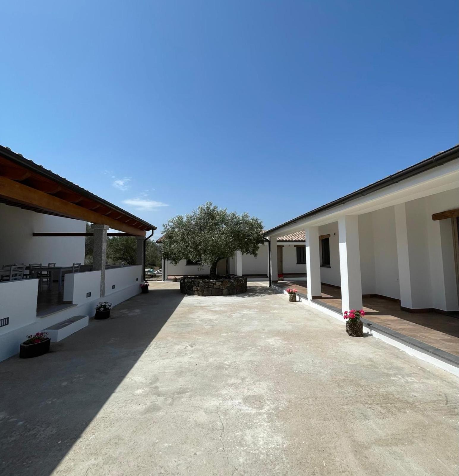 Agriturismo Sa Murta 多尔加利 外观 照片