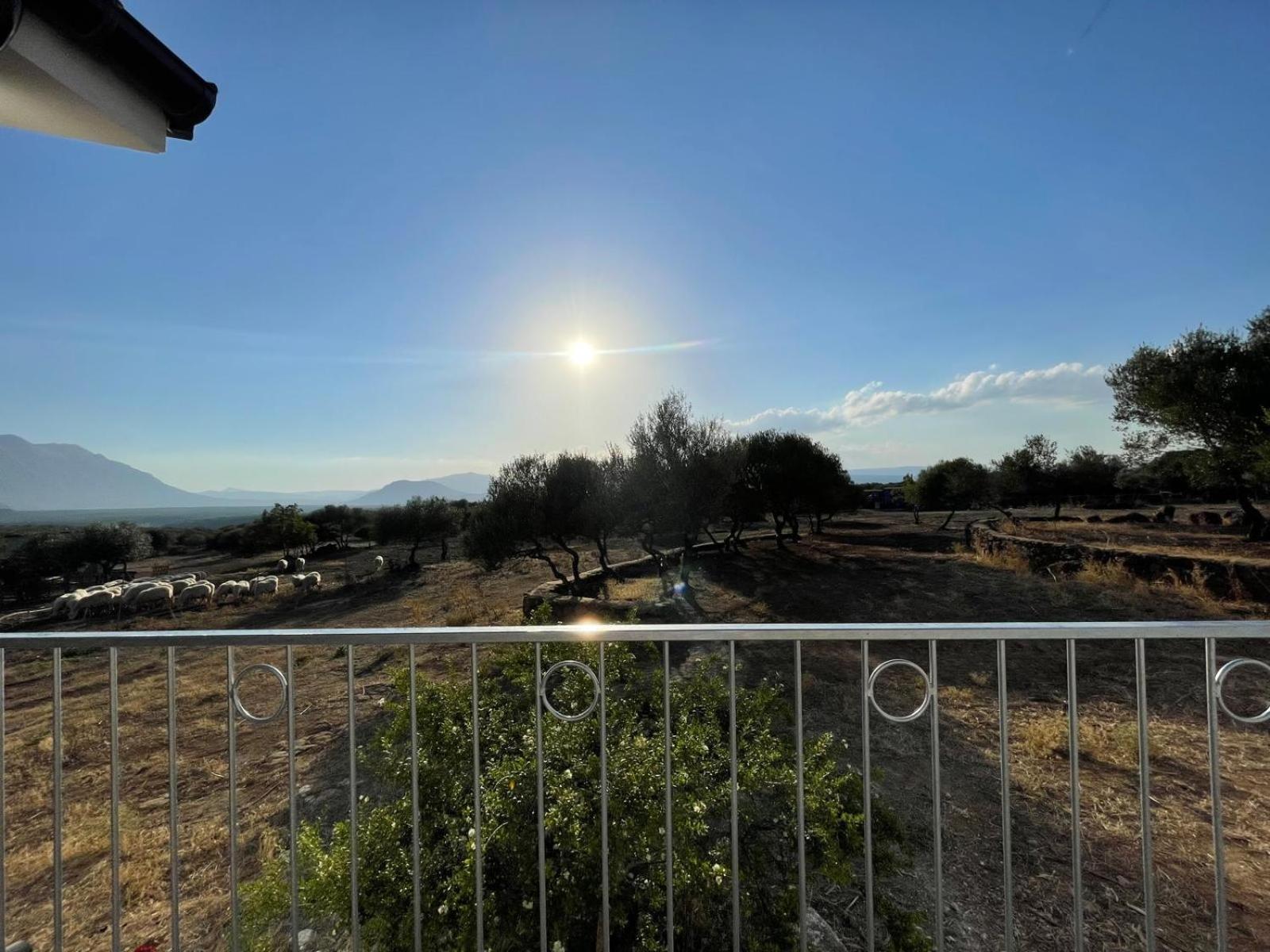 Agriturismo Sa Murta 多尔加利 外观 照片
