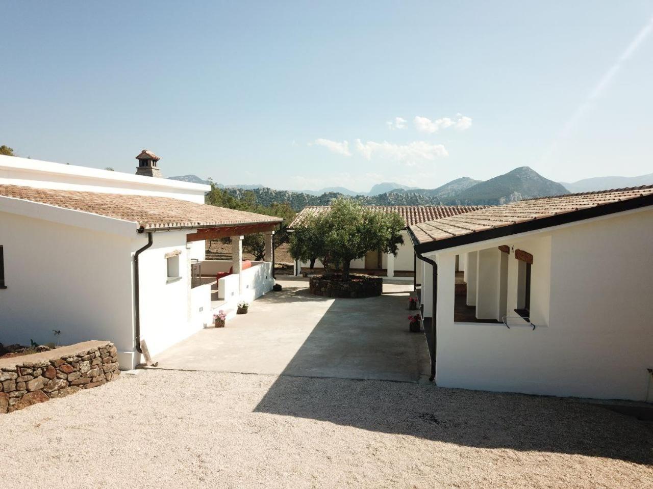Agriturismo Sa Murta 多尔加利 外观 照片