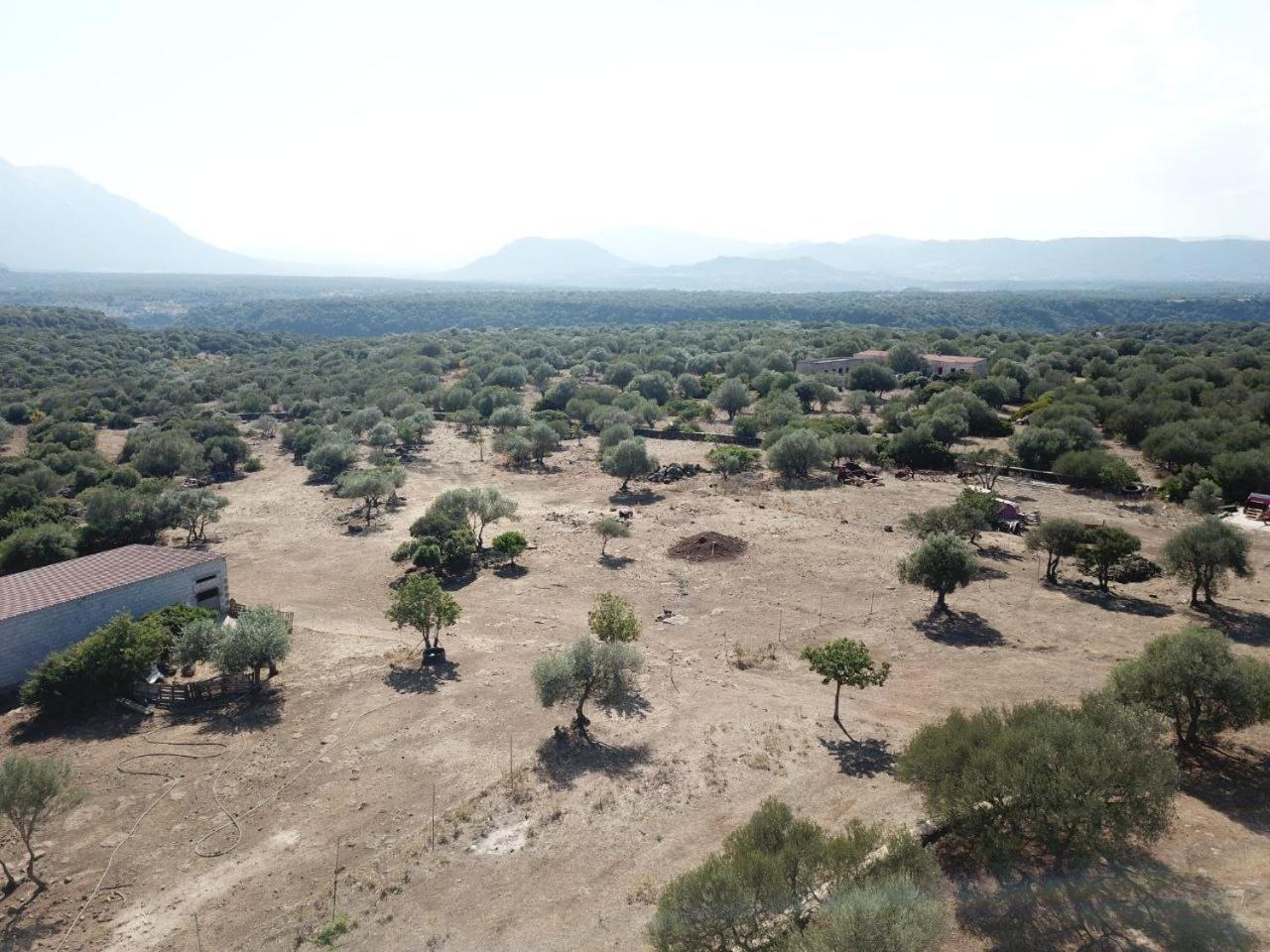Agriturismo Sa Murta 多尔加利 外观 照片