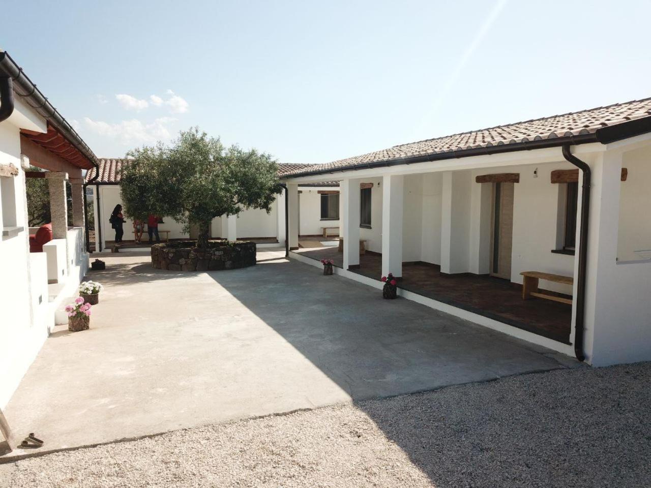 Agriturismo Sa Murta 多尔加利 外观 照片