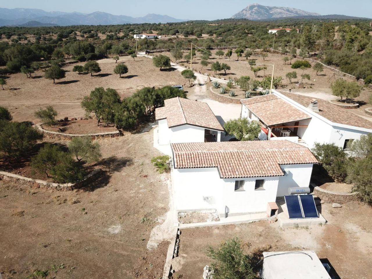Agriturismo Sa Murta 多尔加利 外观 照片