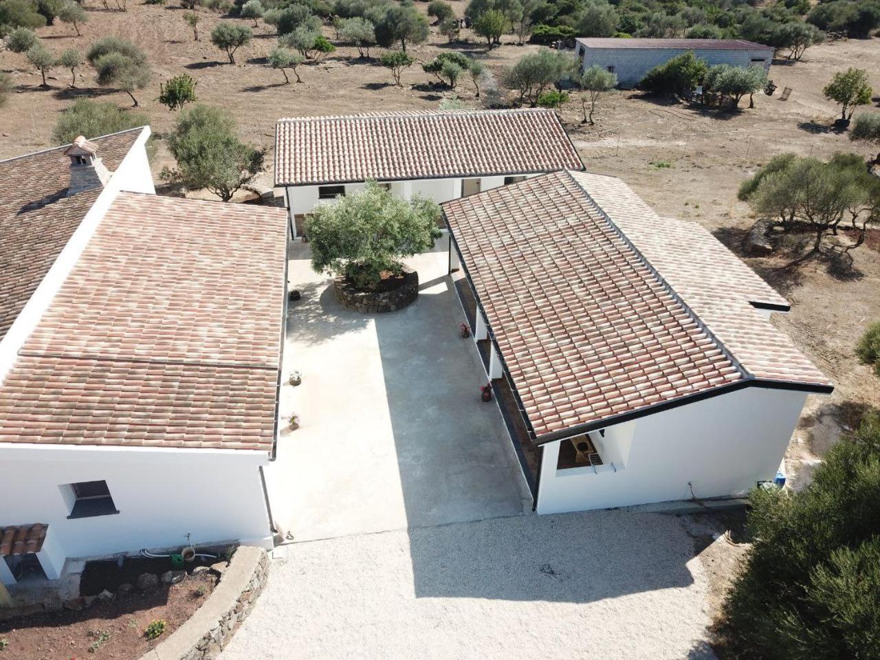Agriturismo Sa Murta 多尔加利 外观 照片