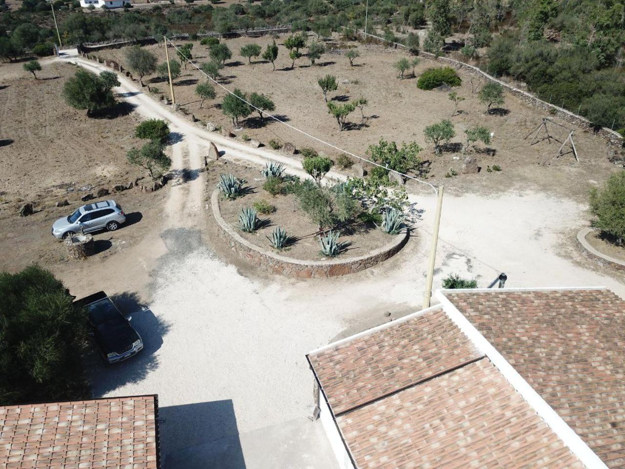 Agriturismo Sa Murta 多尔加利 外观 照片