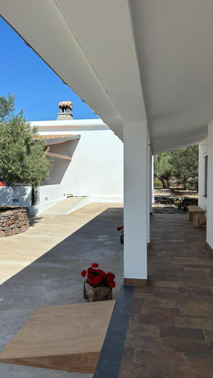Agriturismo Sa Murta 多尔加利 外观 照片