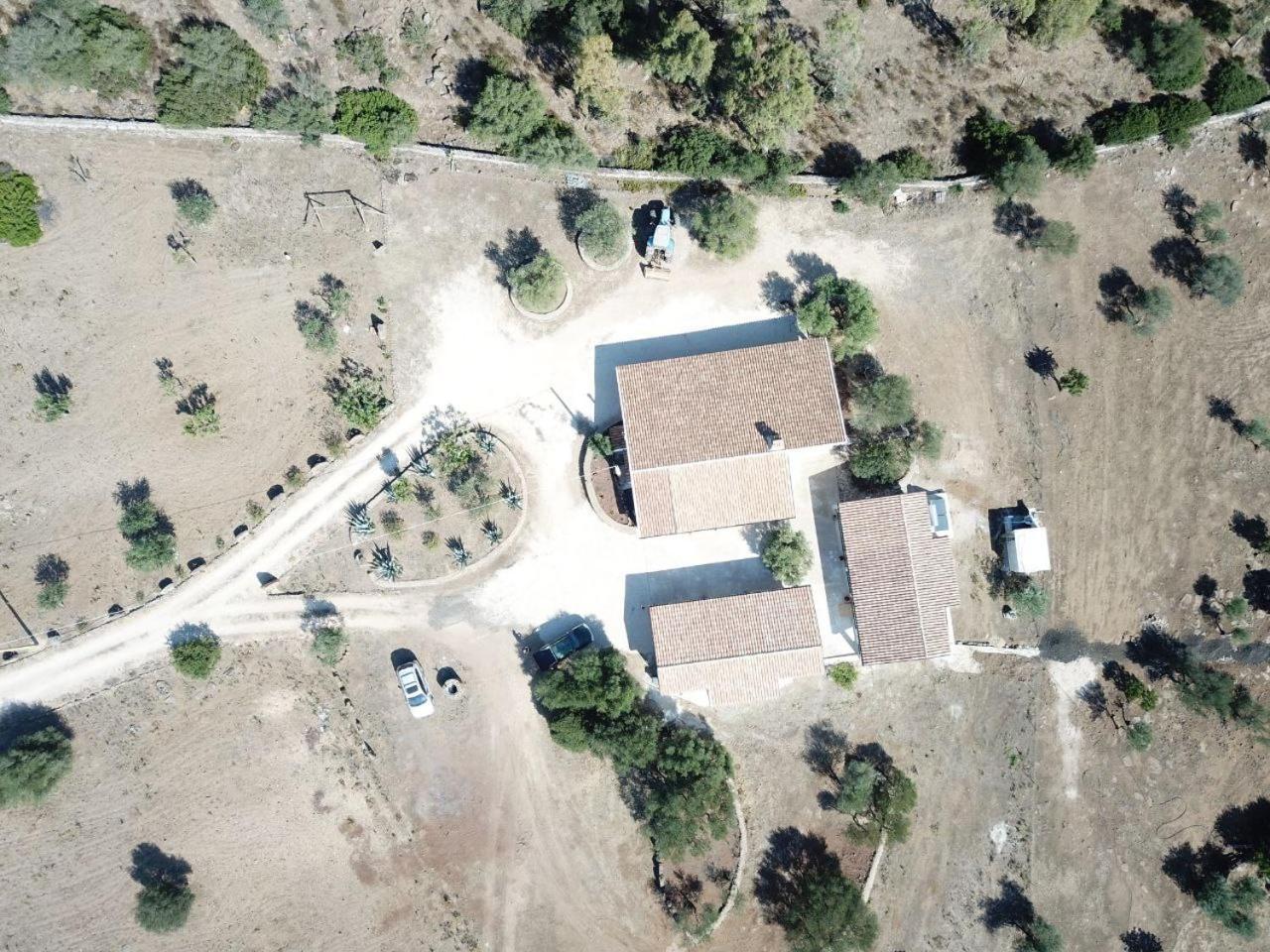 Agriturismo Sa Murta 多尔加利 外观 照片