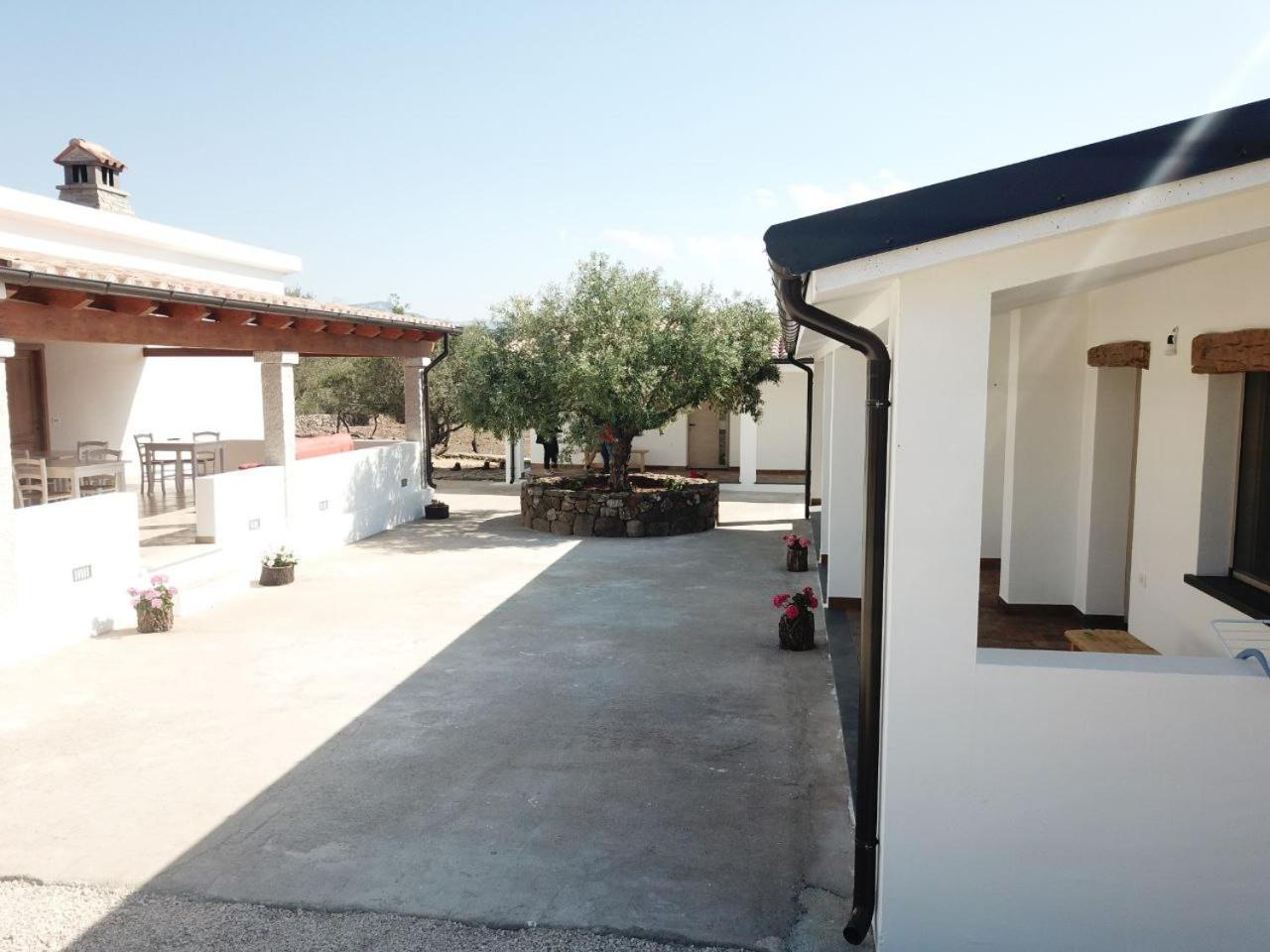 Agriturismo Sa Murta 多尔加利 外观 照片