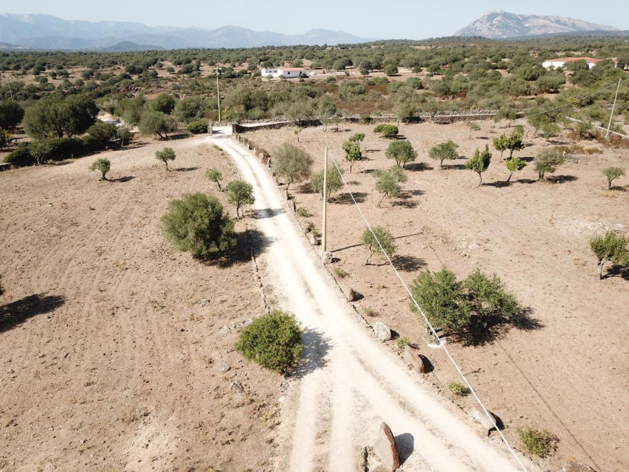 Agriturismo Sa Murta 多尔加利 外观 照片
