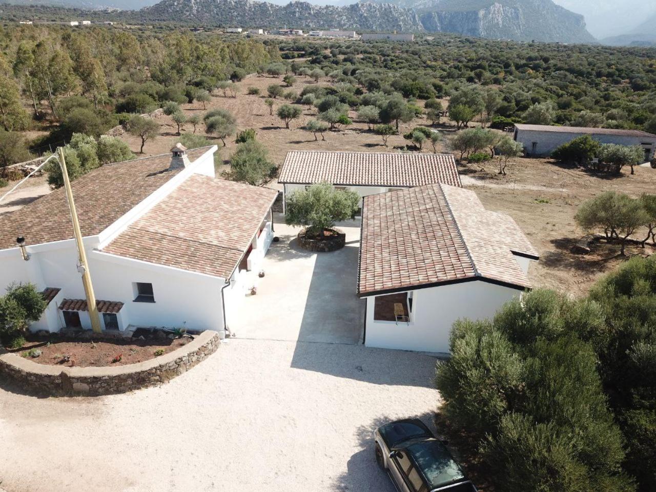 Agriturismo Sa Murta 多尔加利 外观 照片
