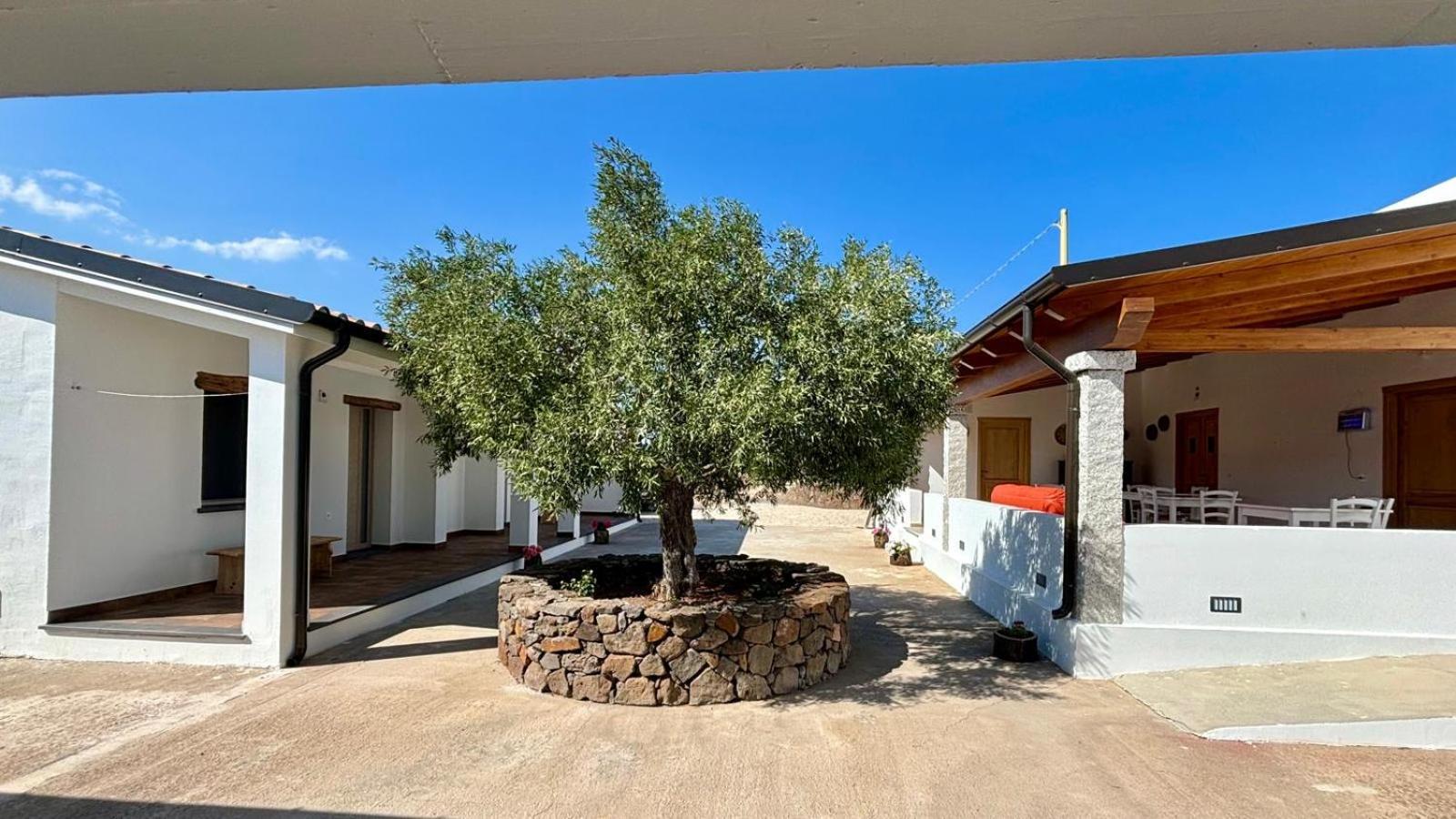 Agriturismo Sa Murta 多尔加利 外观 照片