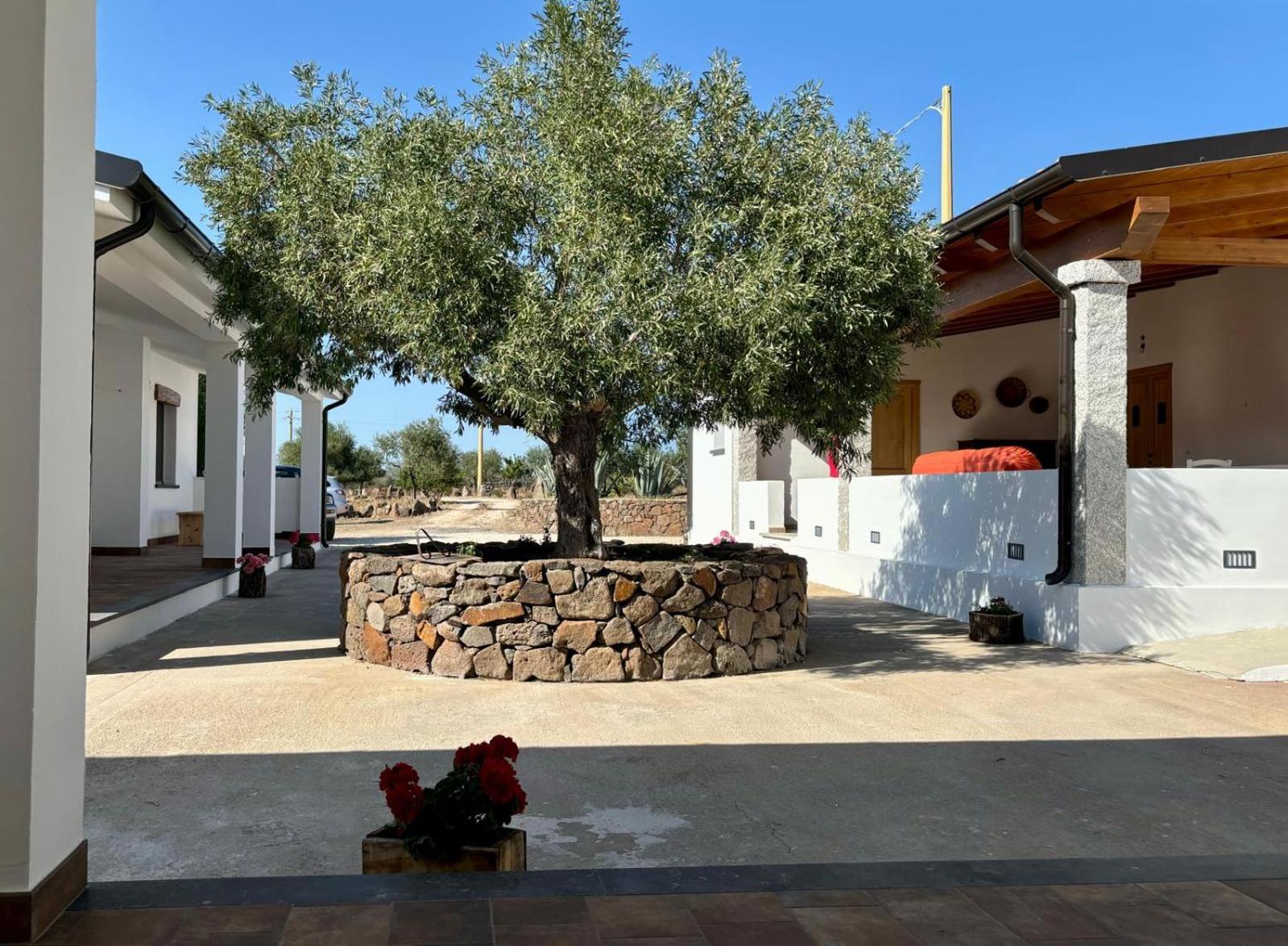 Agriturismo Sa Murta 多尔加利 外观 照片