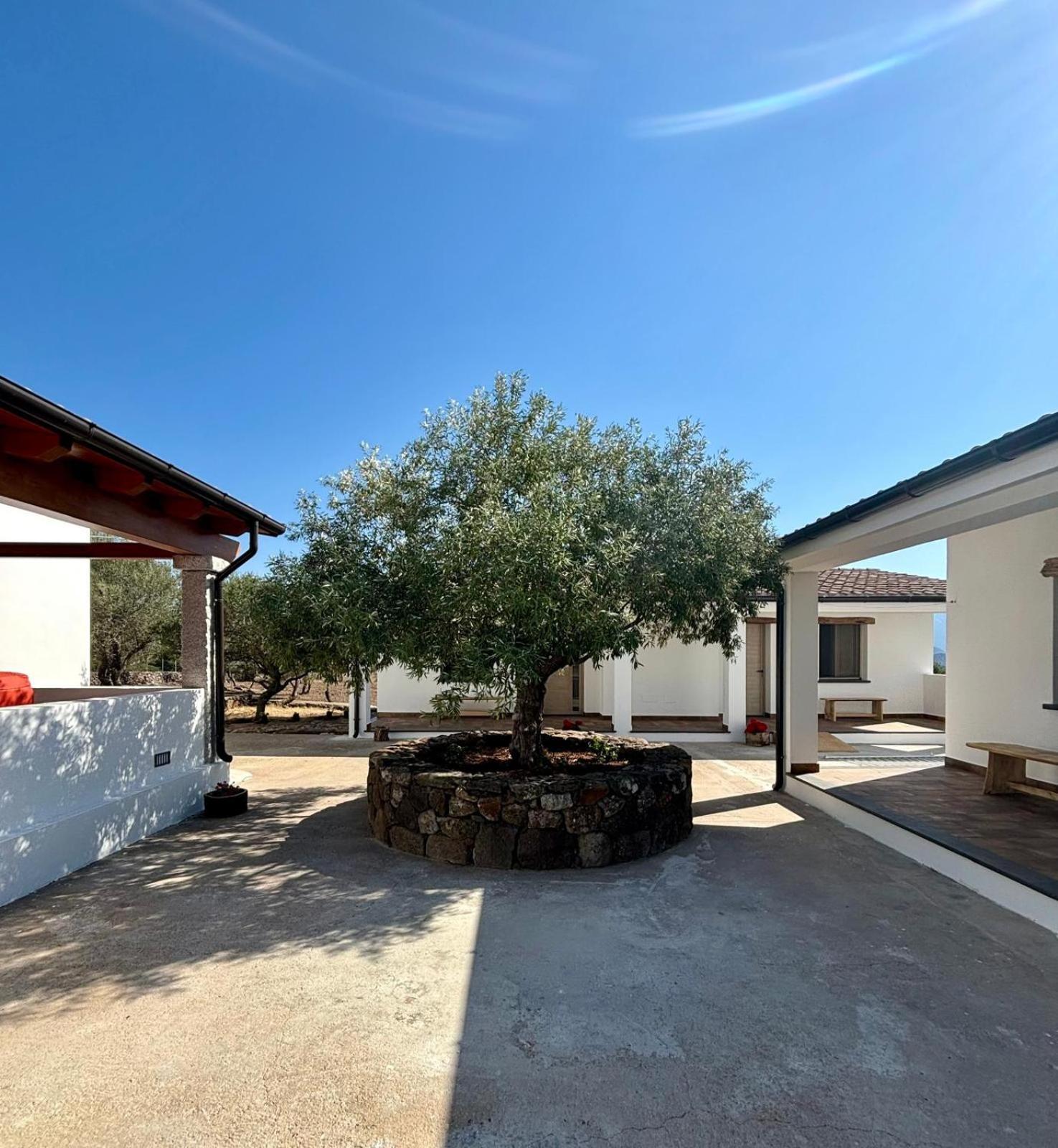 Agriturismo Sa Murta 多尔加利 外观 照片