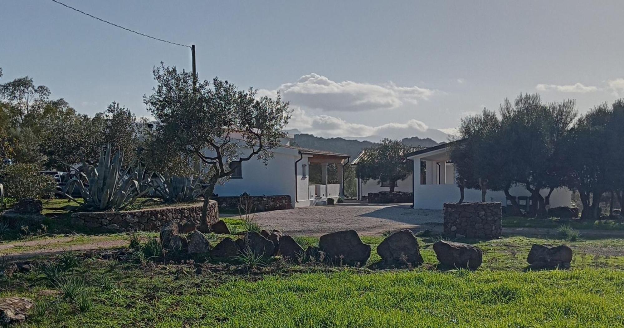 Agriturismo Sa Murta 多尔加利 外观 照片