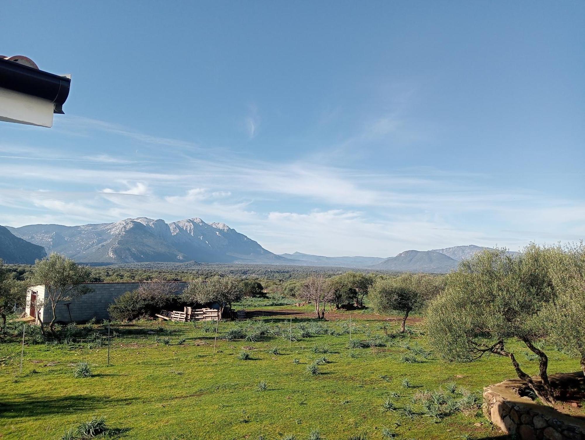 Agriturismo Sa Murta 多尔加利 外观 照片