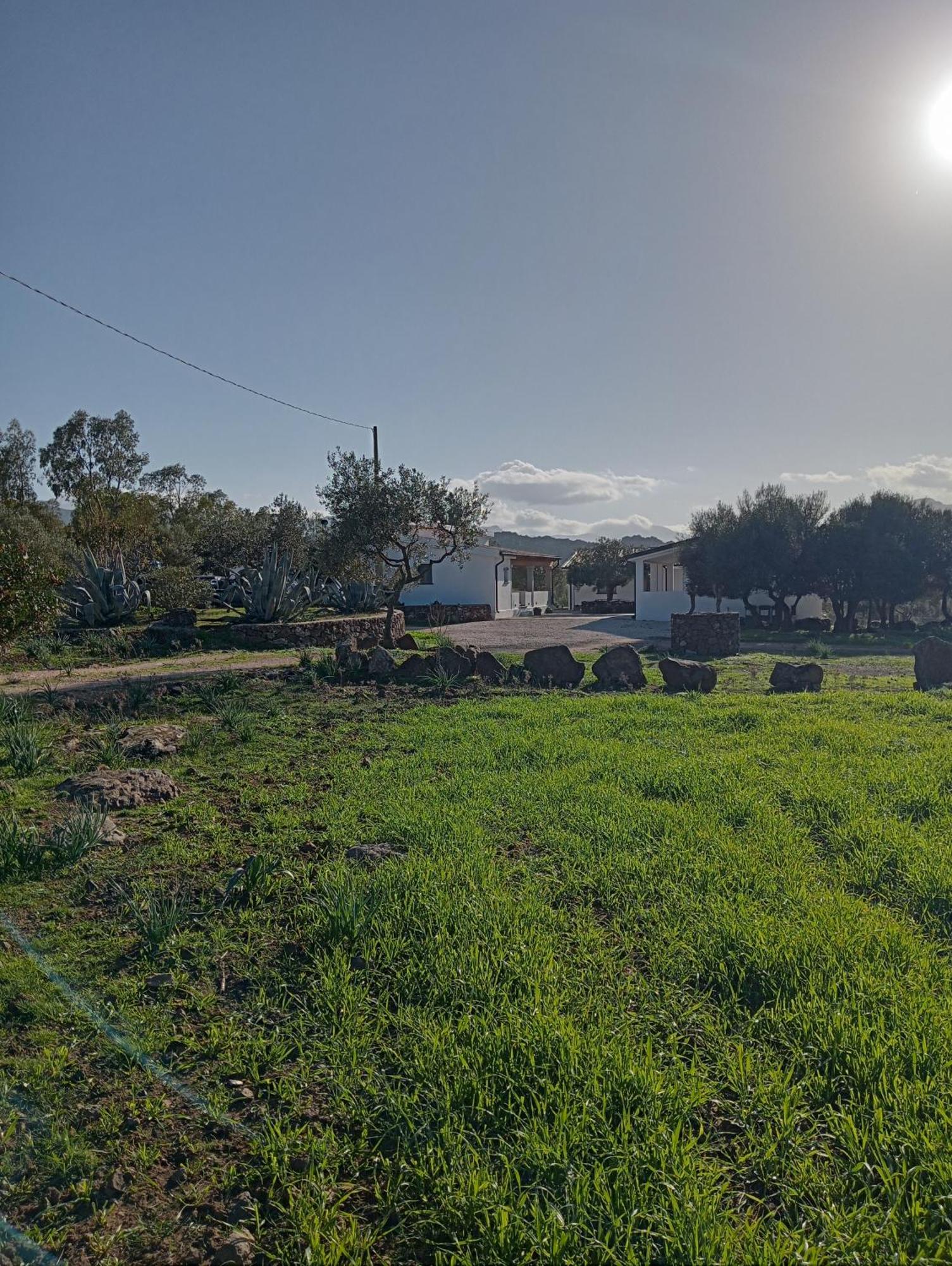 Agriturismo Sa Murta 多尔加利 外观 照片